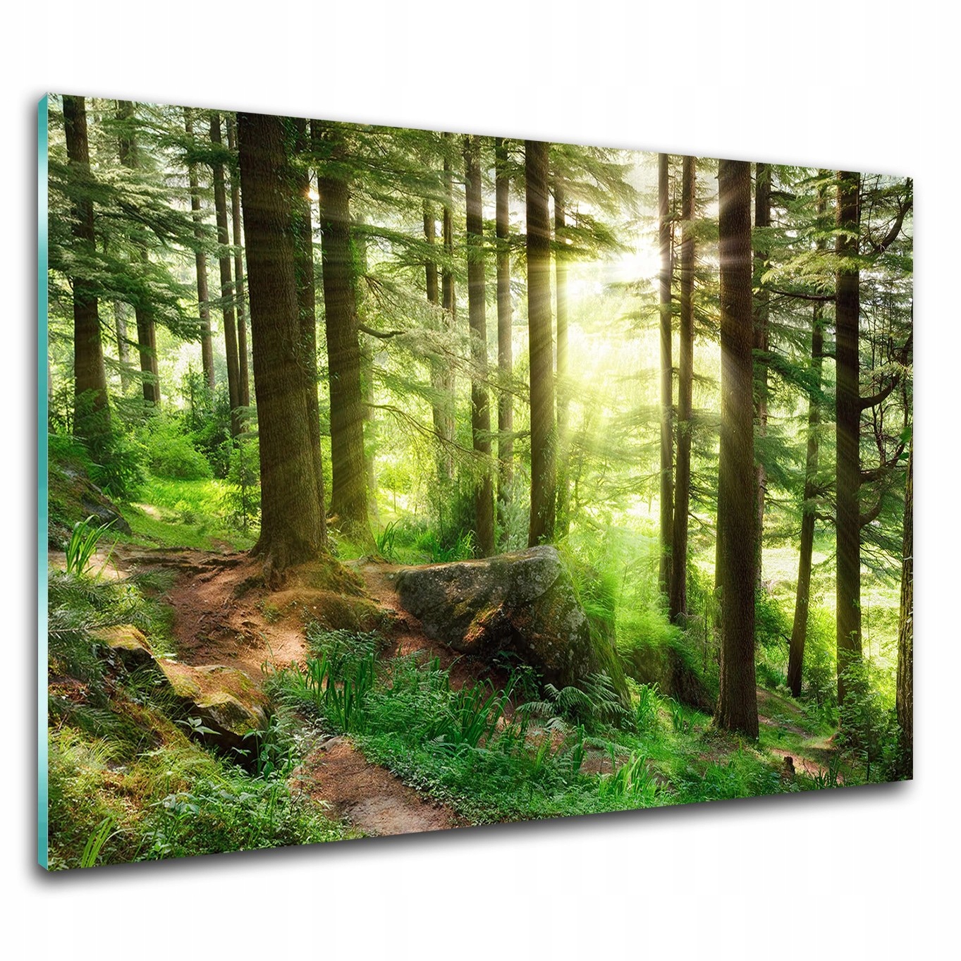 

obraz ścianę szklany na ścianę Mglisty las 60x40