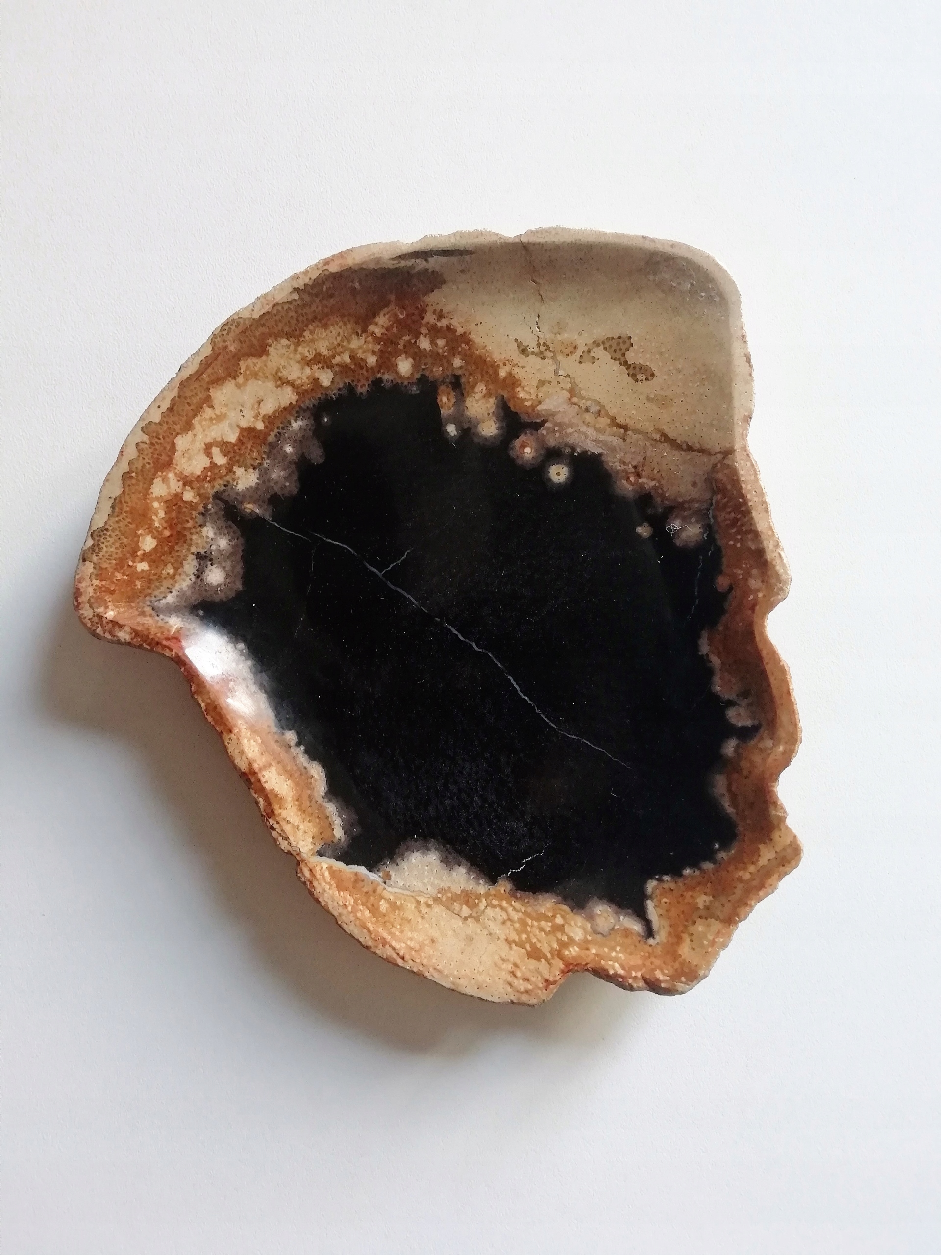 SKAMIENIAŁE DREWNO/ TALERZ / PATERA