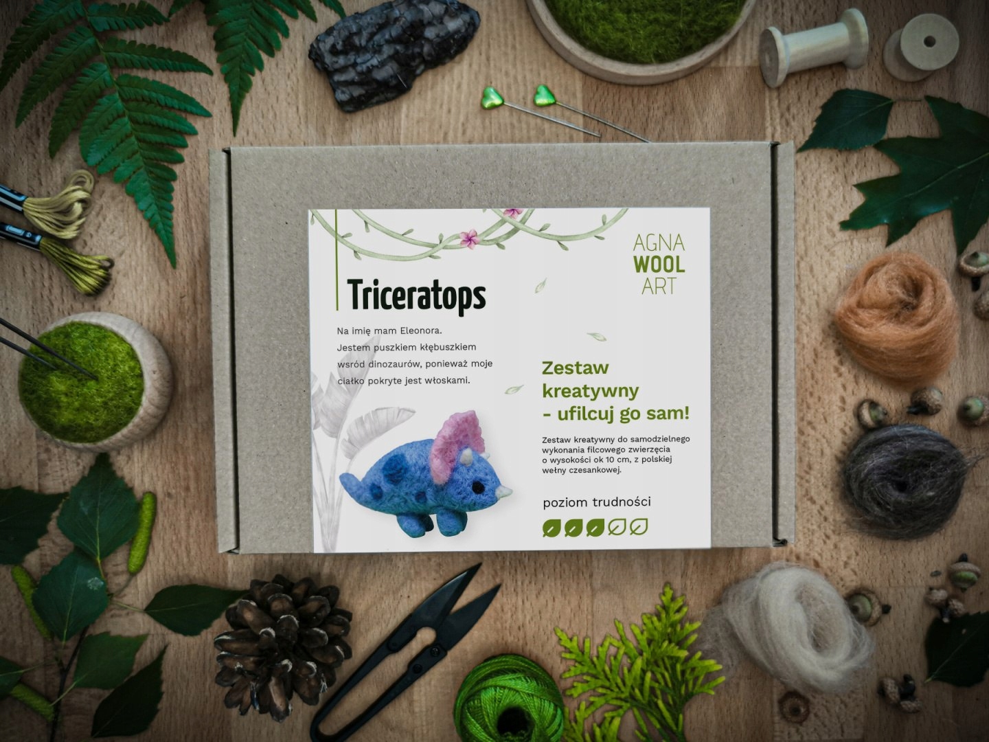 Plstěná sada Triceratops