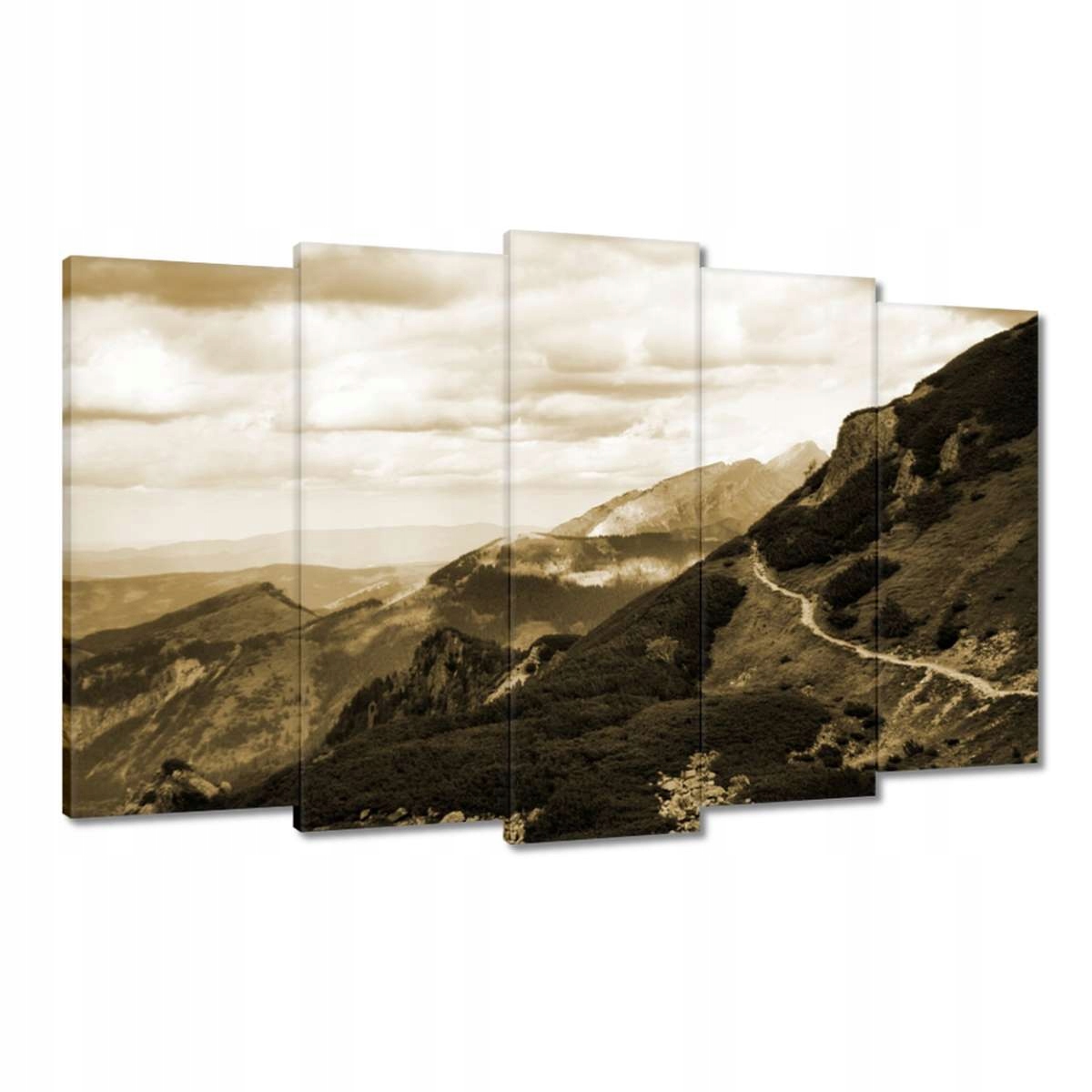 Obrazy 100x60 Tatry Polské hory Pohled