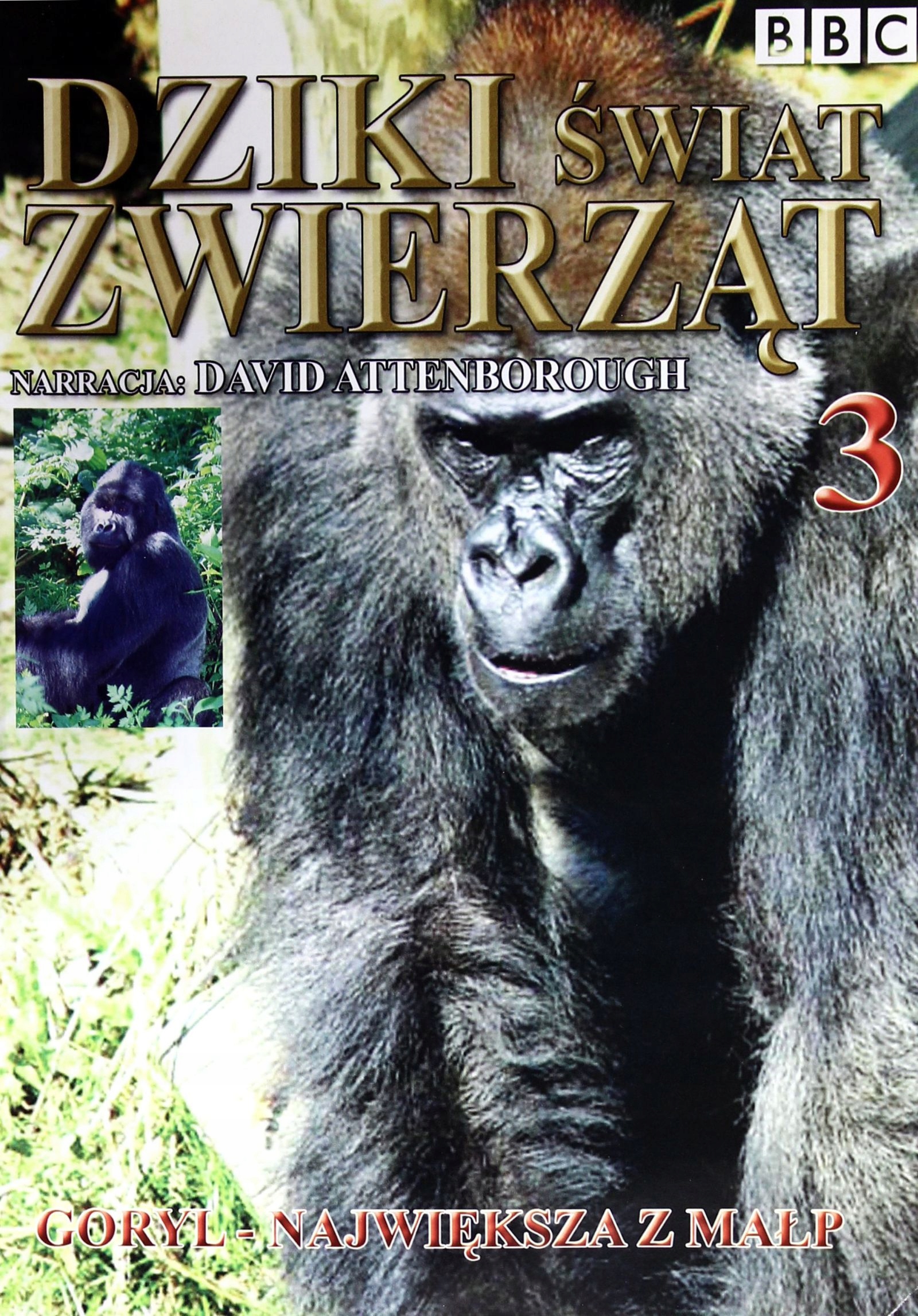 Dziki Świat Zwierząt 03: Goryl Największa Z Małp