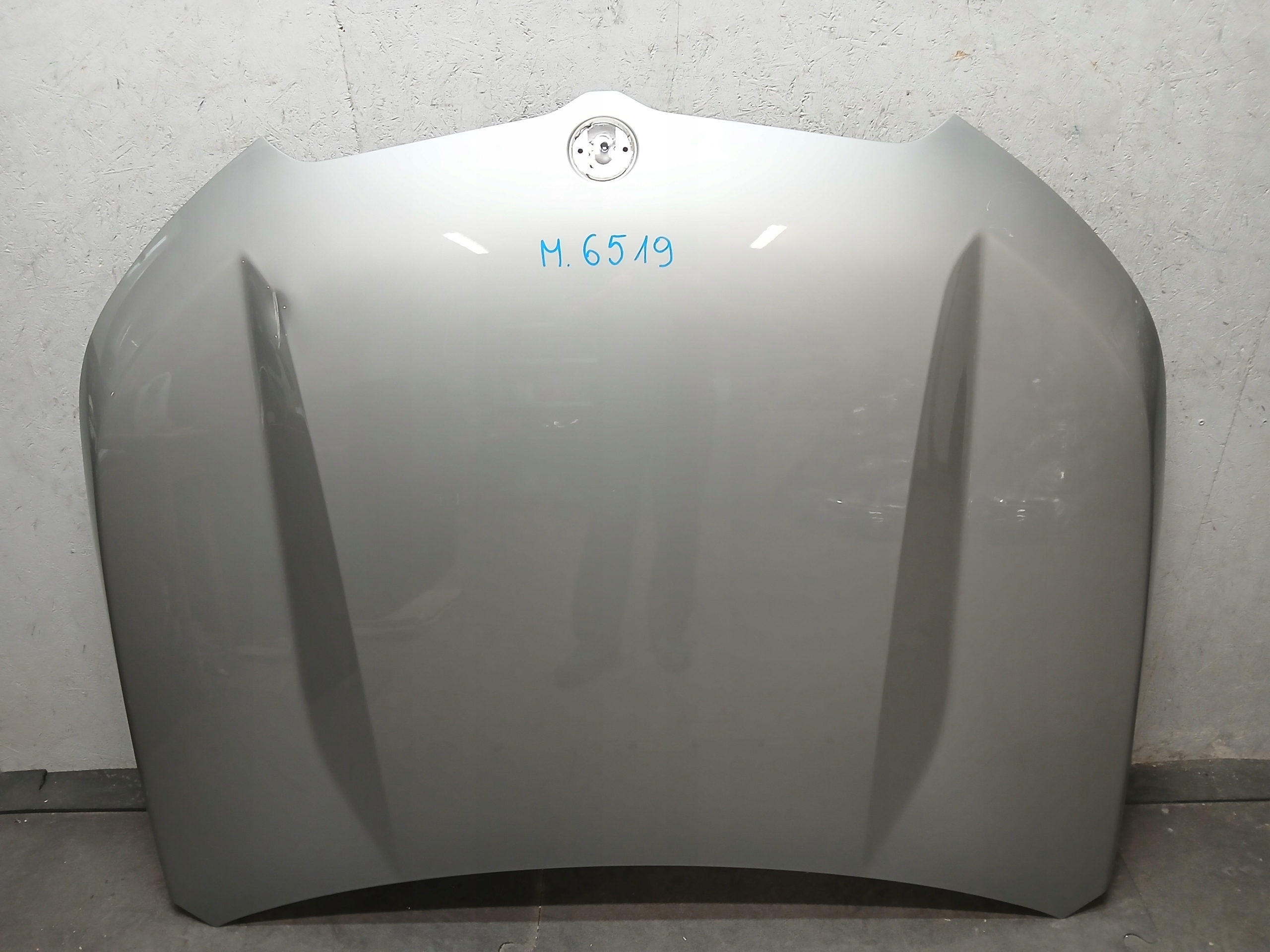 Capot BMW X1 U11