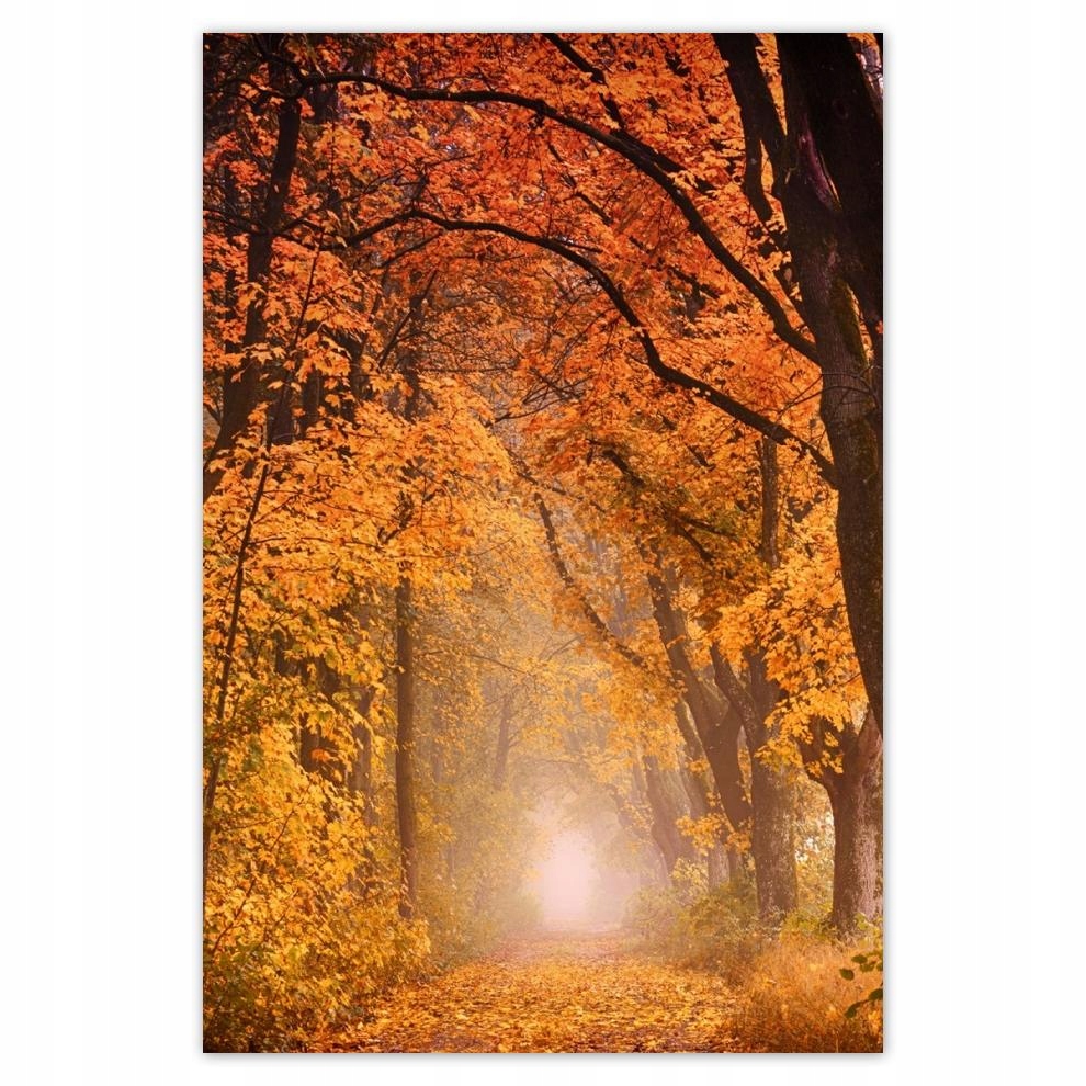 

Plakat 62x93 Jesienny widok