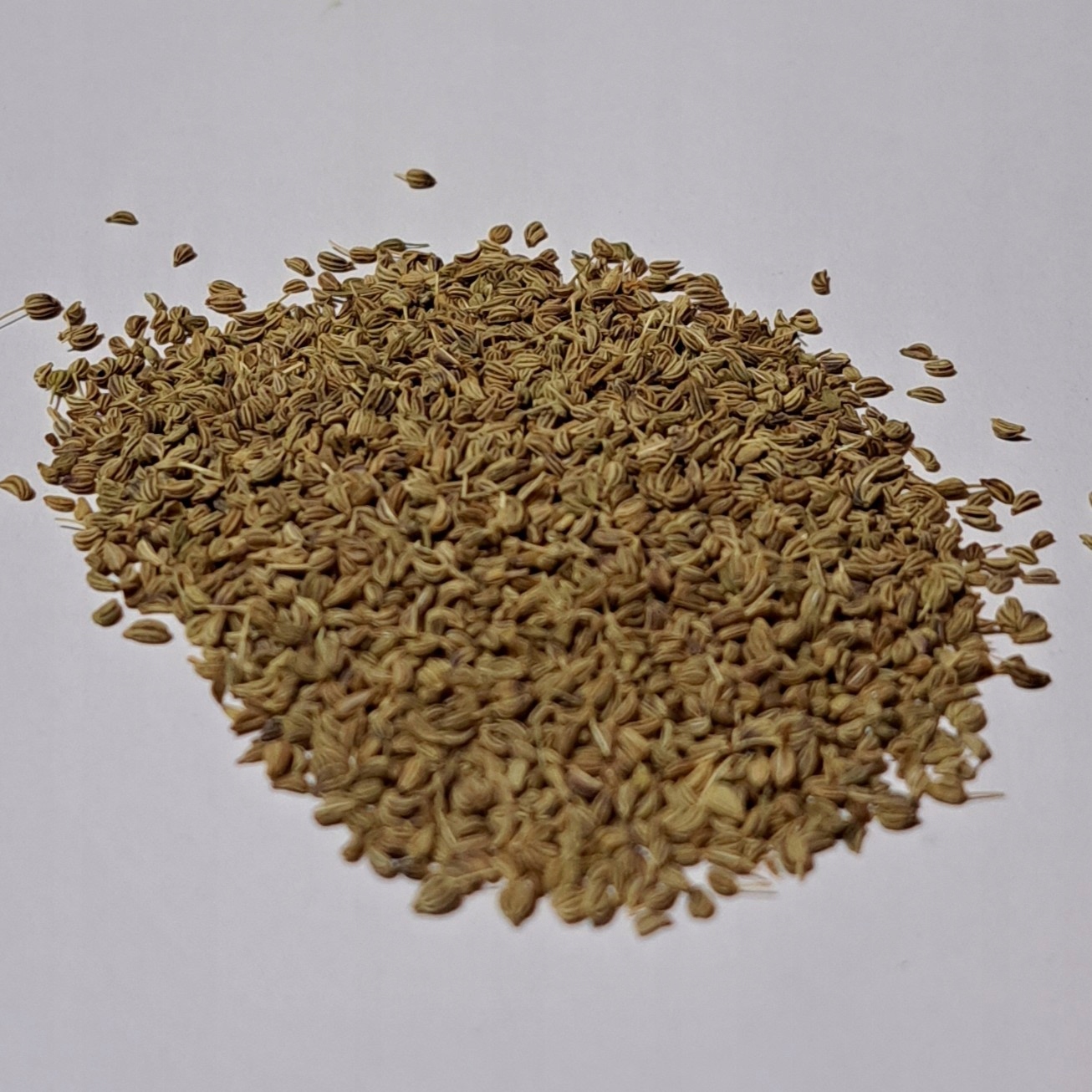 Ajwain ,adżwain Ziarno 100g Rafex