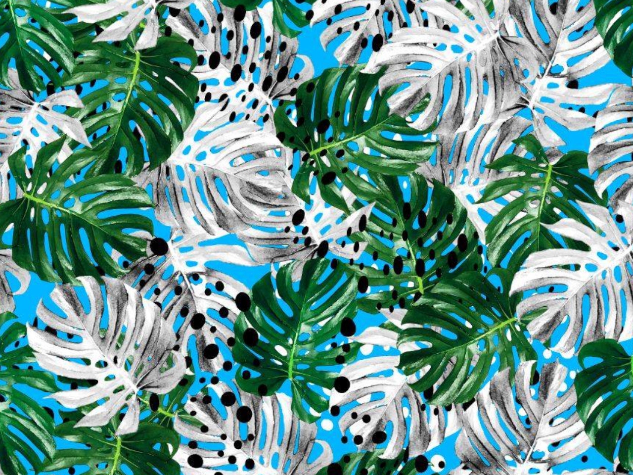 Jersey Liscie Monstera Turkus Elastan Druk Cyfrowy