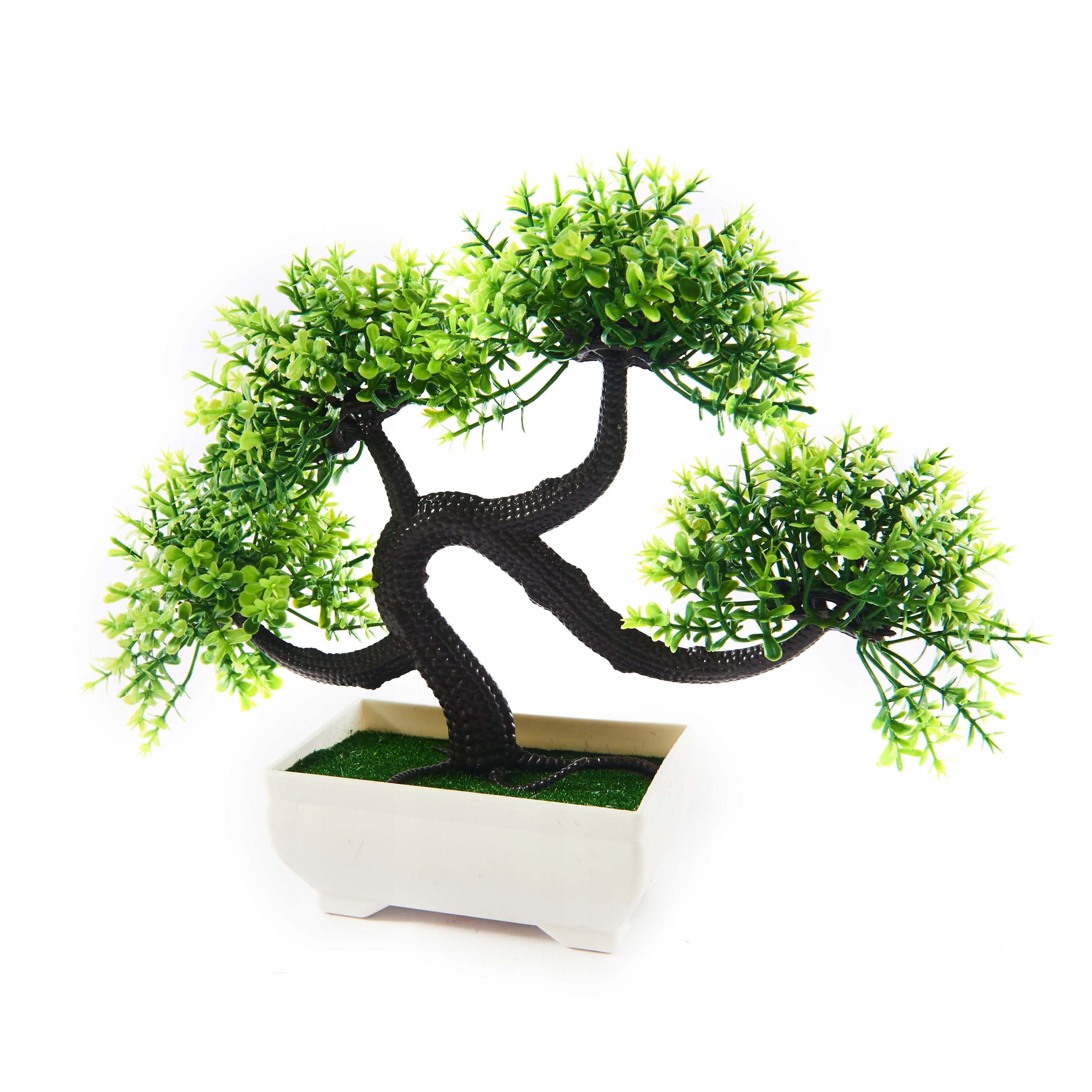 

Drzewko Bonsai Roślina Ozdobna 20CM Różne