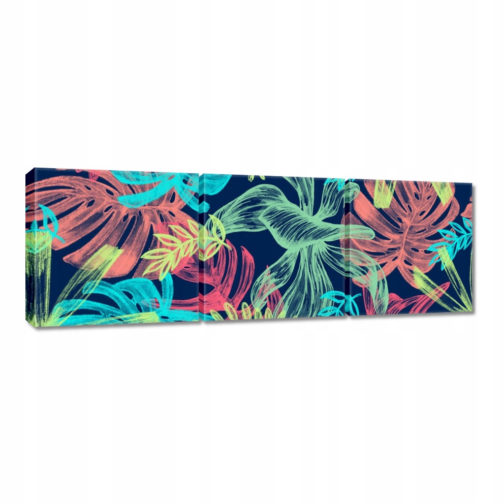 

Obrazy 60x20 Monstera w kolorze Liście