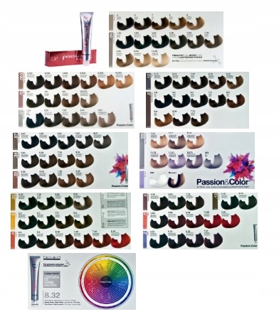 Karta kolorów trwałych farb do włosów Exclusive Passion&Color Hi Tech