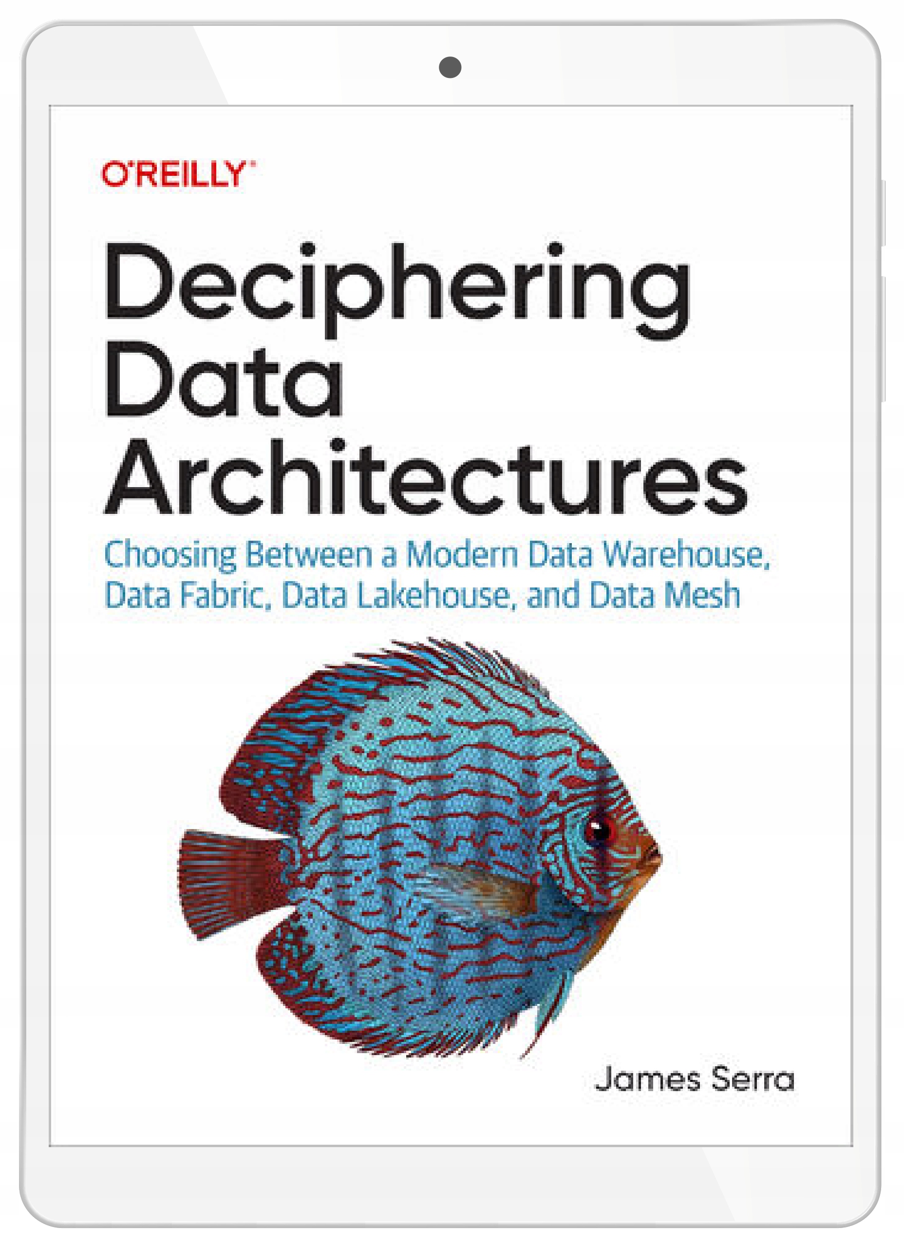Deciphering Data Architectures