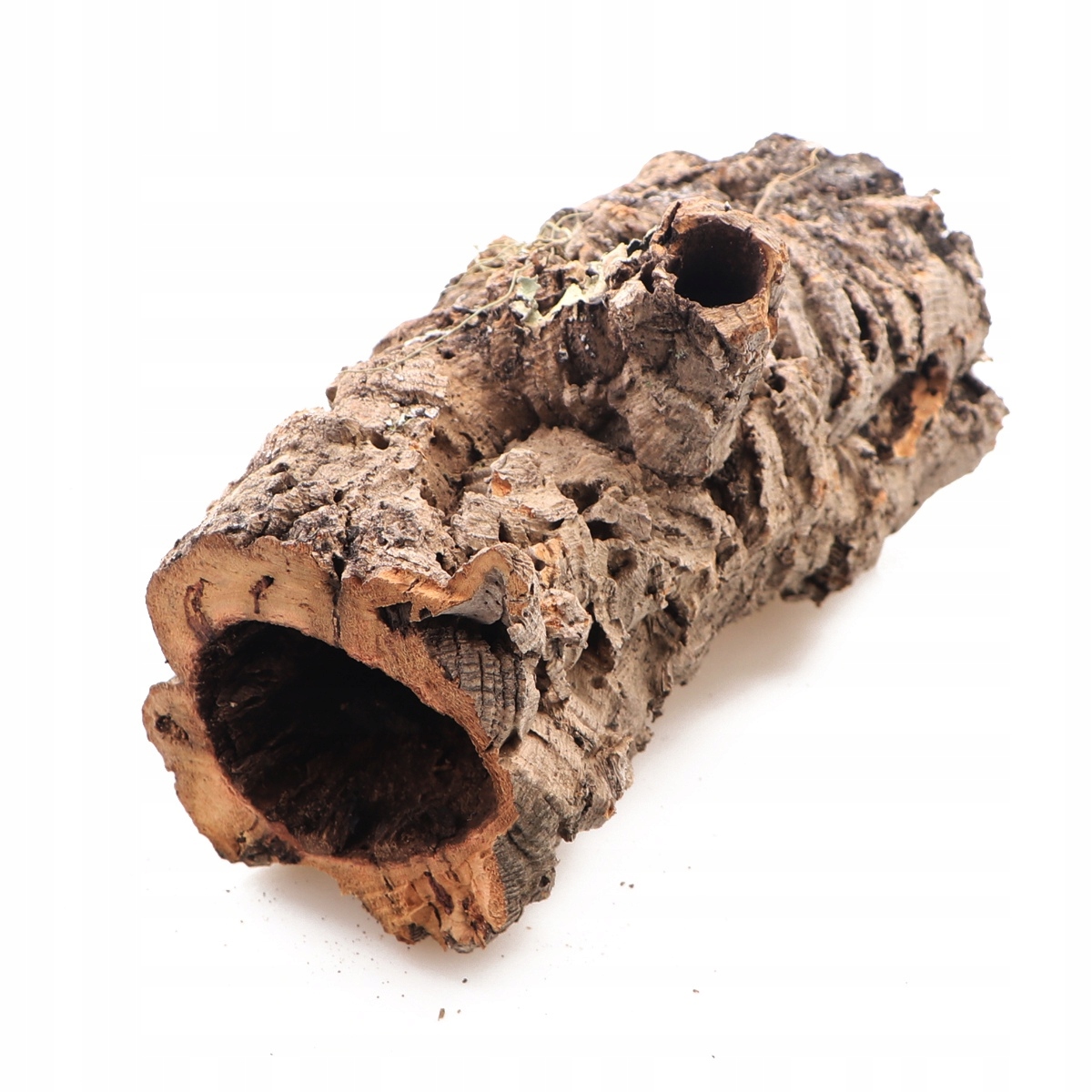 Kůra Z Korkového Dubu XXL Úkryt Do Terária Na Váhu