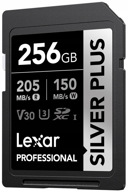 Sdxc Professional Silver Plus karta 256GB R205/W150