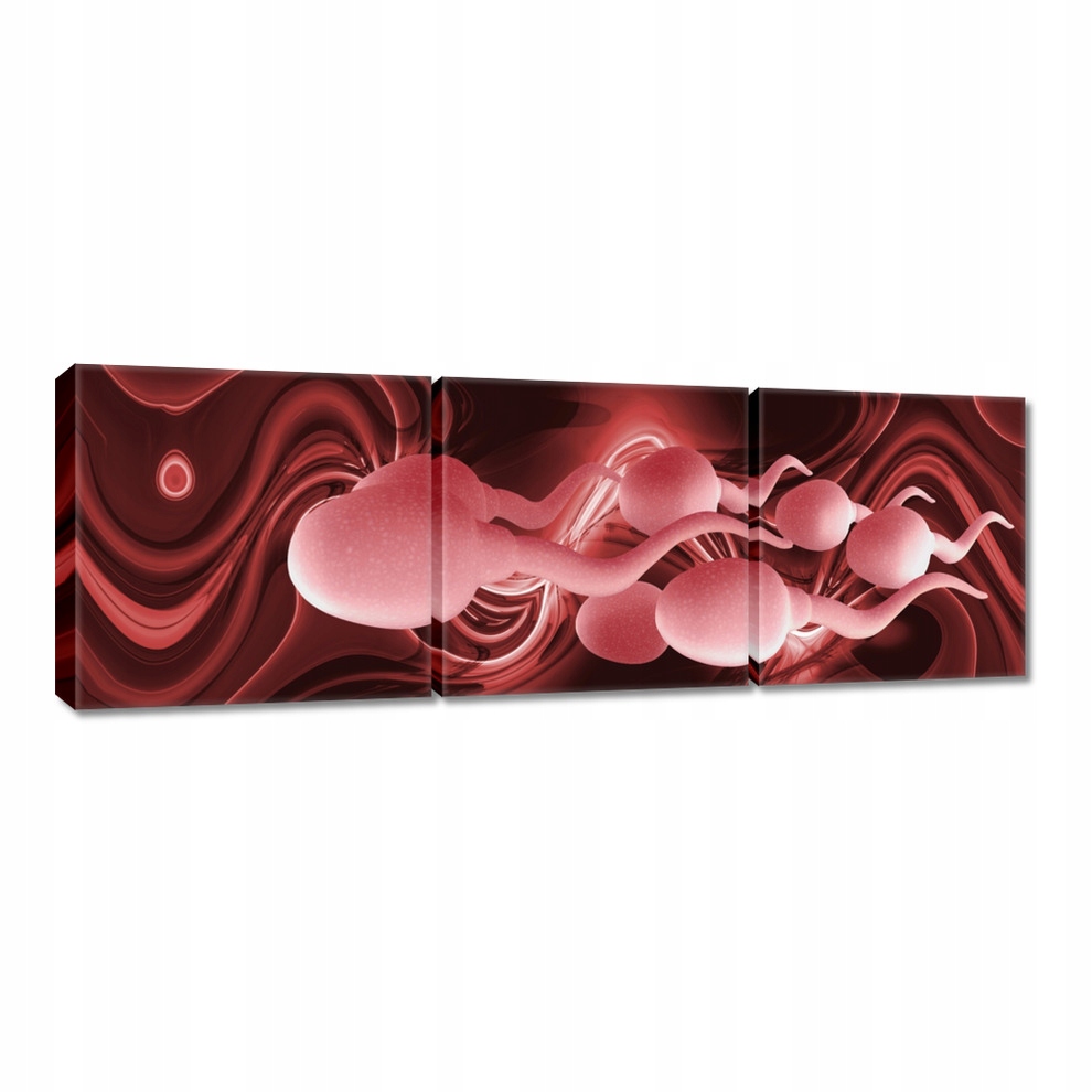 

Obrazy 60x20 Kim jesteś