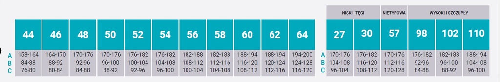 ZESTAW ODZIEŻ ROBOCZA BLUZA OGRODNICZKI BHP 56/2XL Typ kurtka
