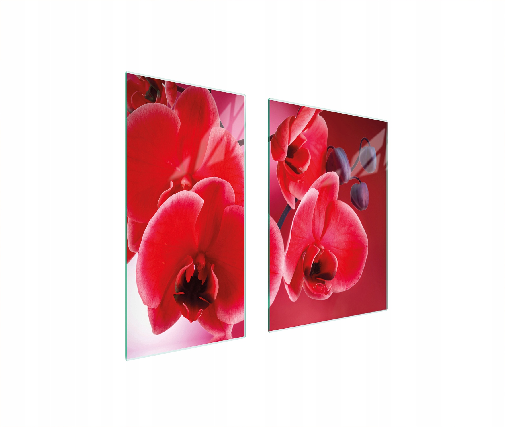 Skleněná Ochranná Deska 75x52 Orchidej Tvrzené Sklo