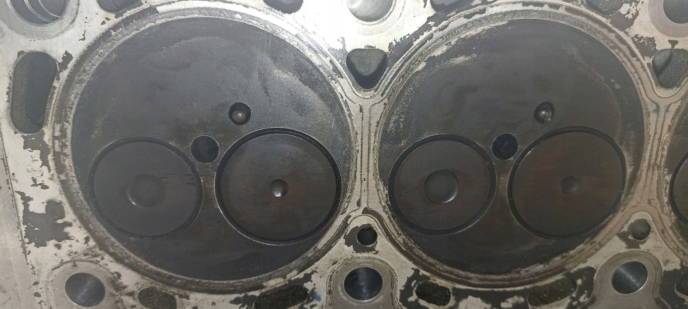 head. RENAULT SCENIC II