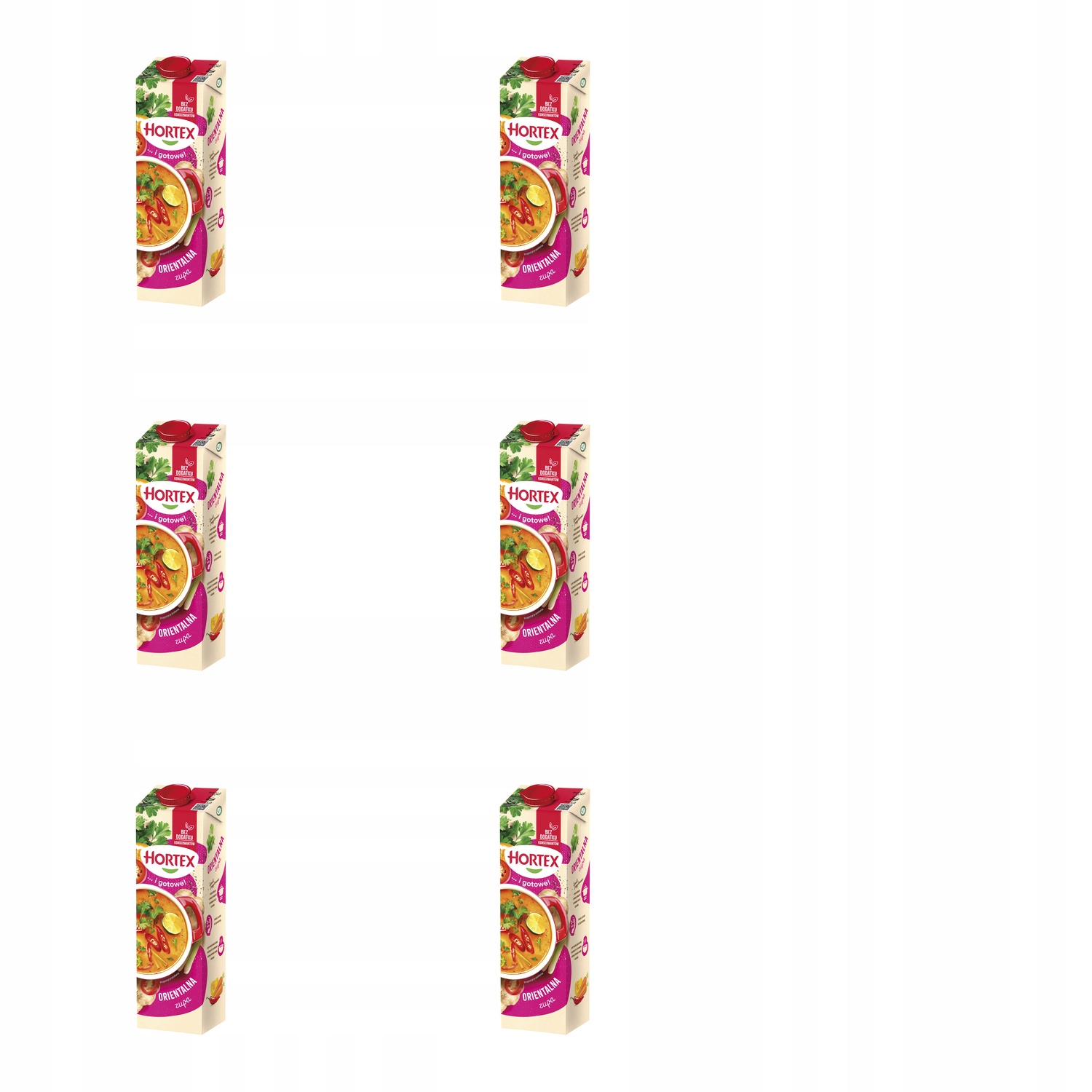 6x 1l Hortex zupa orientalna w kartonie Zgrzewka