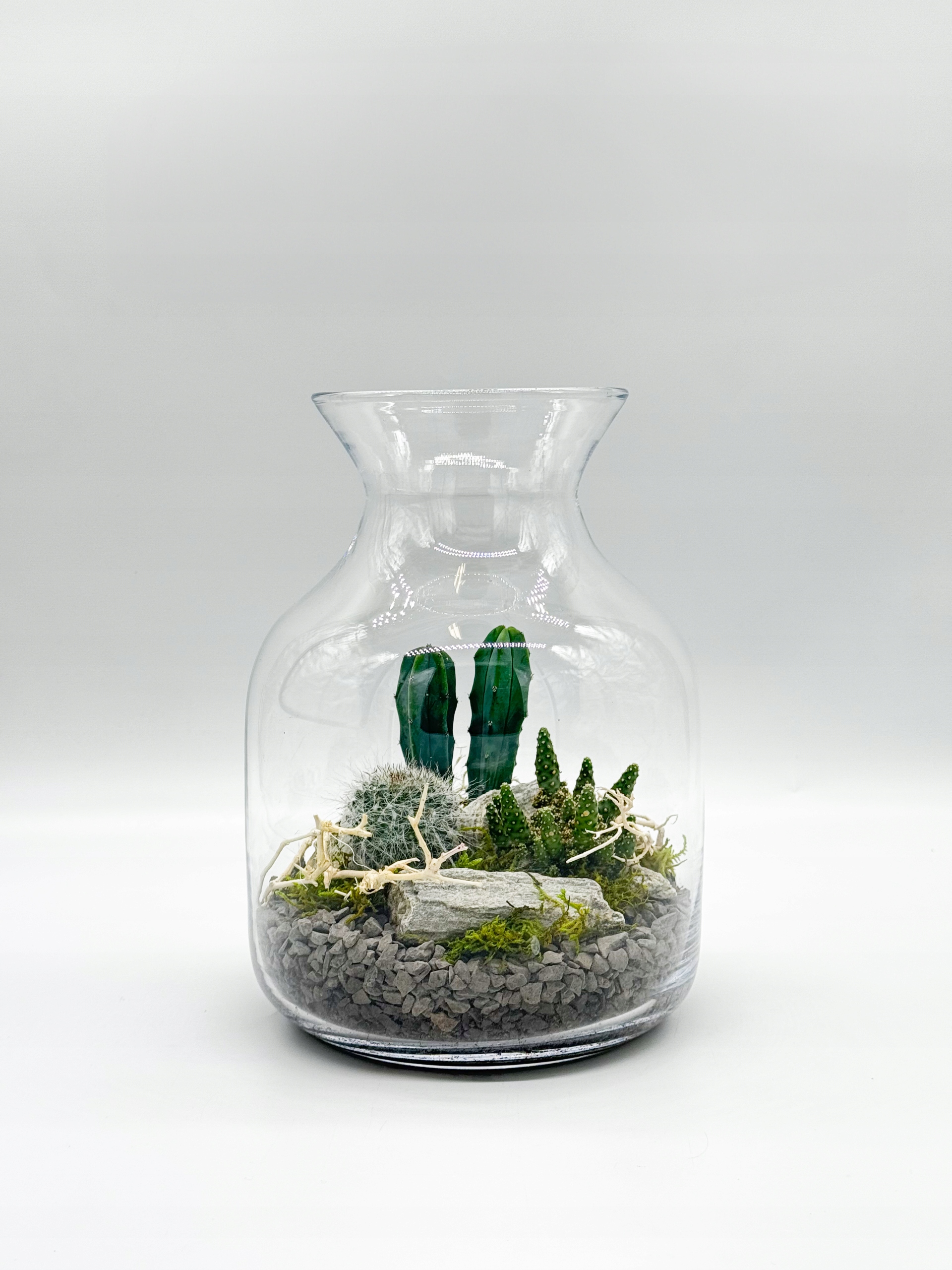 Les ve skle Lahev s kaktusy Hotová kompozice Nápad na dárek