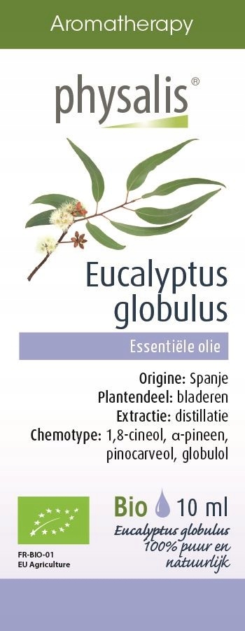 OLEJEK ETERYCZNY EUKALIPTUS GAŁKOWY BIO 10 ml - PHYSALIS PHYSALIS