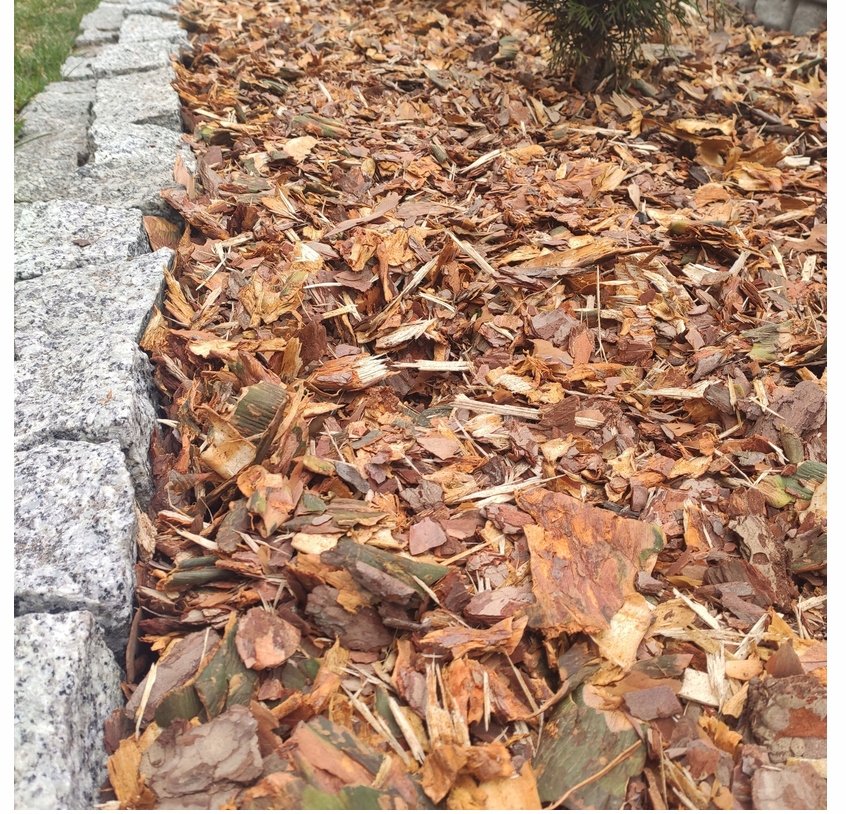 KORA SOSNOWA OGRODOWA WOREK 80L