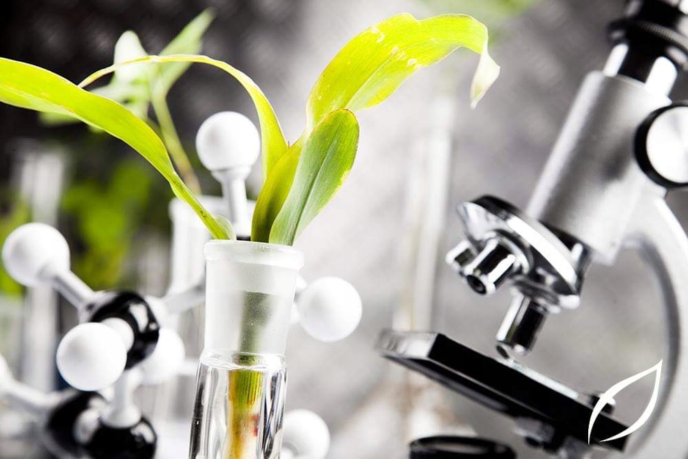 Krem przeciwzmarszczkowy regenerujący dla mężczyzn Marka Effegilab