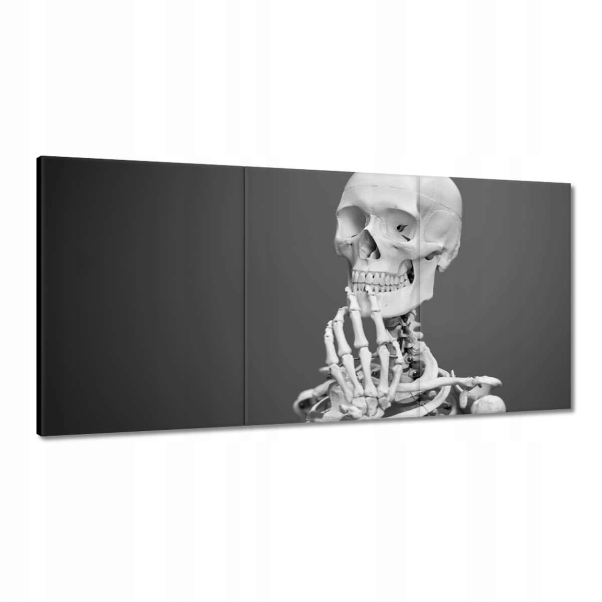 Obrazy 120x60 Kostlivec Kostra kostí