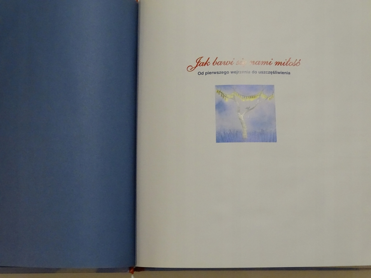 JAK BAWI SIĘ NAMI MIŁOŚĆ JIMMY LIAO ISBN 8389533197