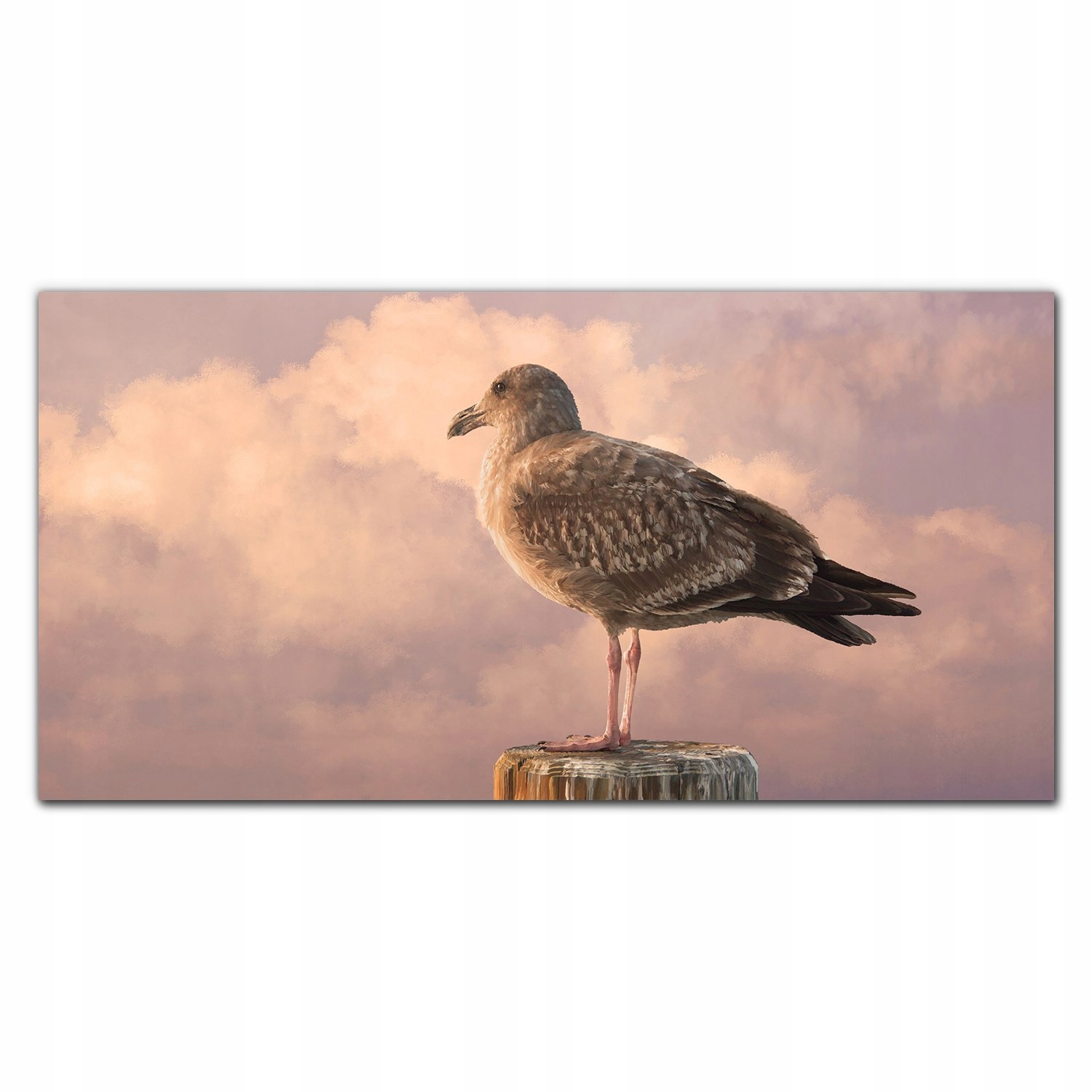 Obraz na plátne Zviera vták čajka obloha 140x70 cm