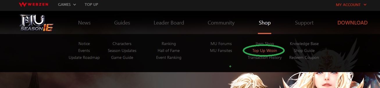 Muonline 425 Wcoin Webzen Nazwa przedmiotu 425 Wcoin Webzen