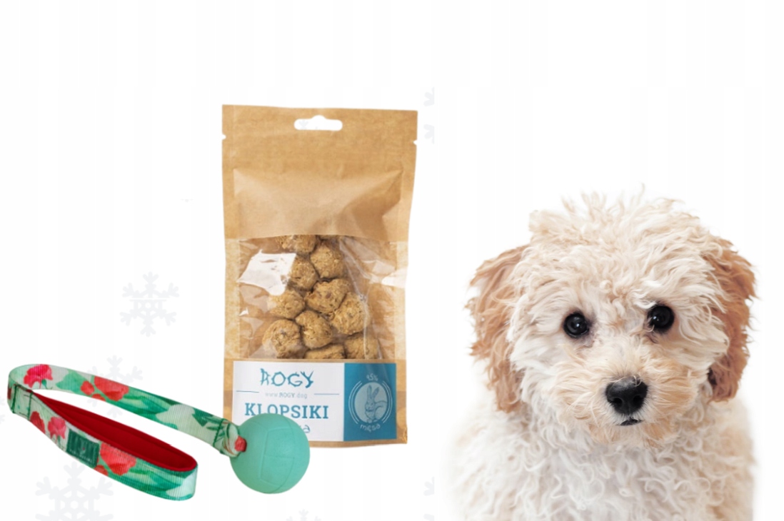 Levně Dárková sada pamlsků a hraček pro psy PositiveCare