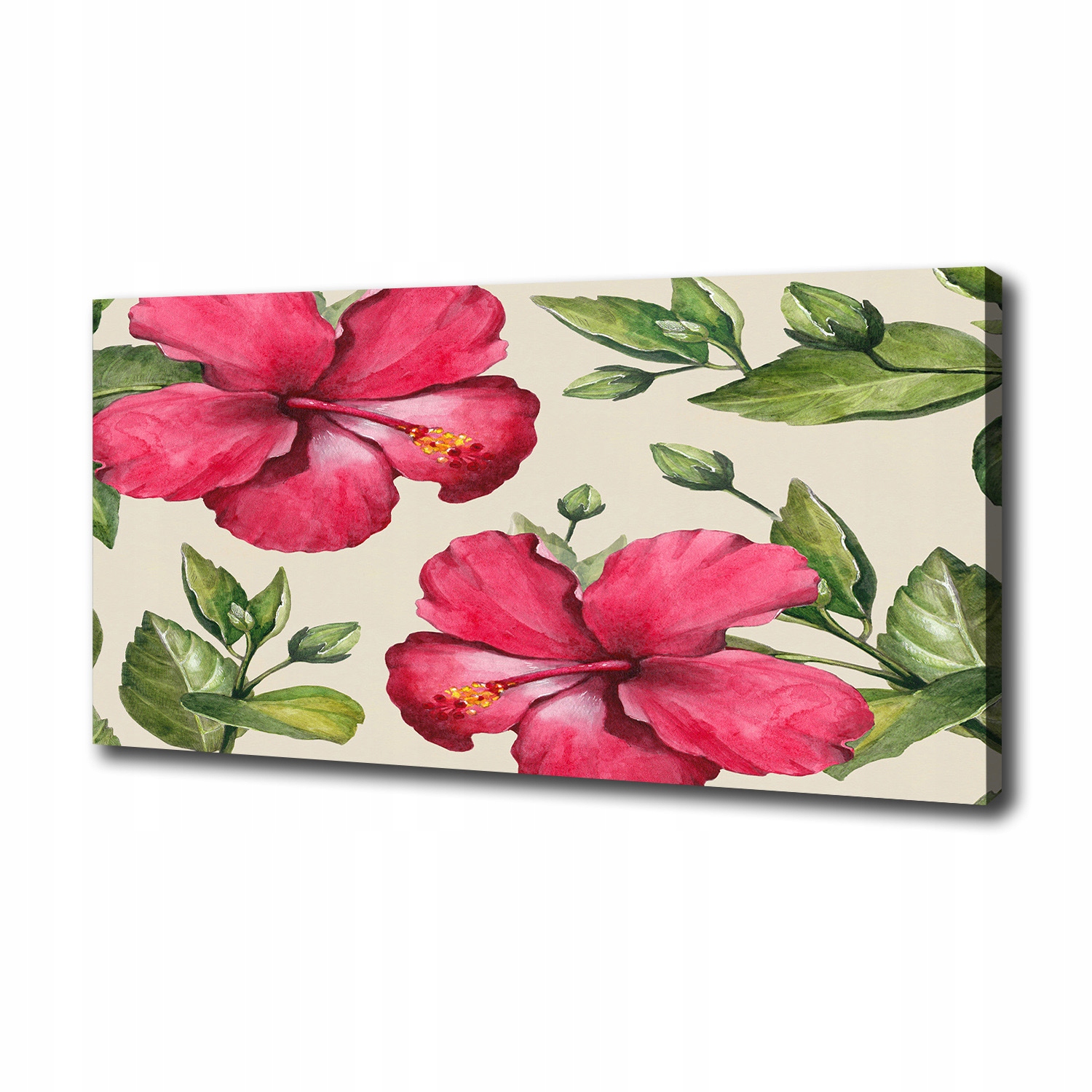 

Foto obraz na płótnie Różowy hibiskus 100x50 cm