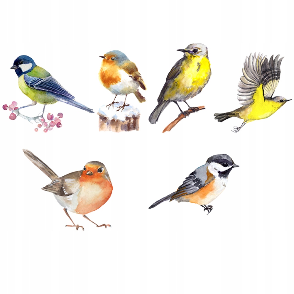 NAKLEJKA PRYWATNOŚCI NA OKNO PTAKI PRYZMATYCZNA Marka bez marki