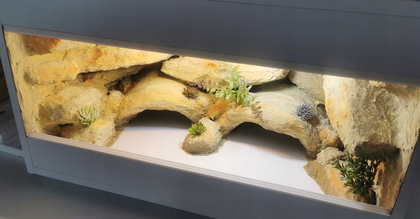 Terárium Pro Gekona Pouštní 70x40x40 Na Zakázku Aranžování Vybavení