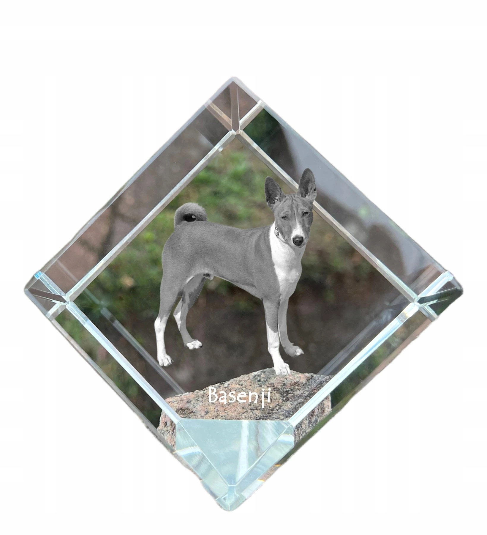 Kryštálová kocka na bazén s fotografiou psa, personalizovaná ozdoba na stôl