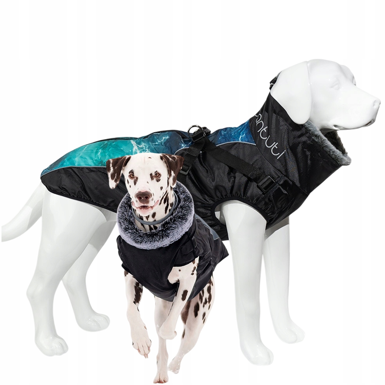 Levně Teplá bunda pro velkého psa Regnar 3XL