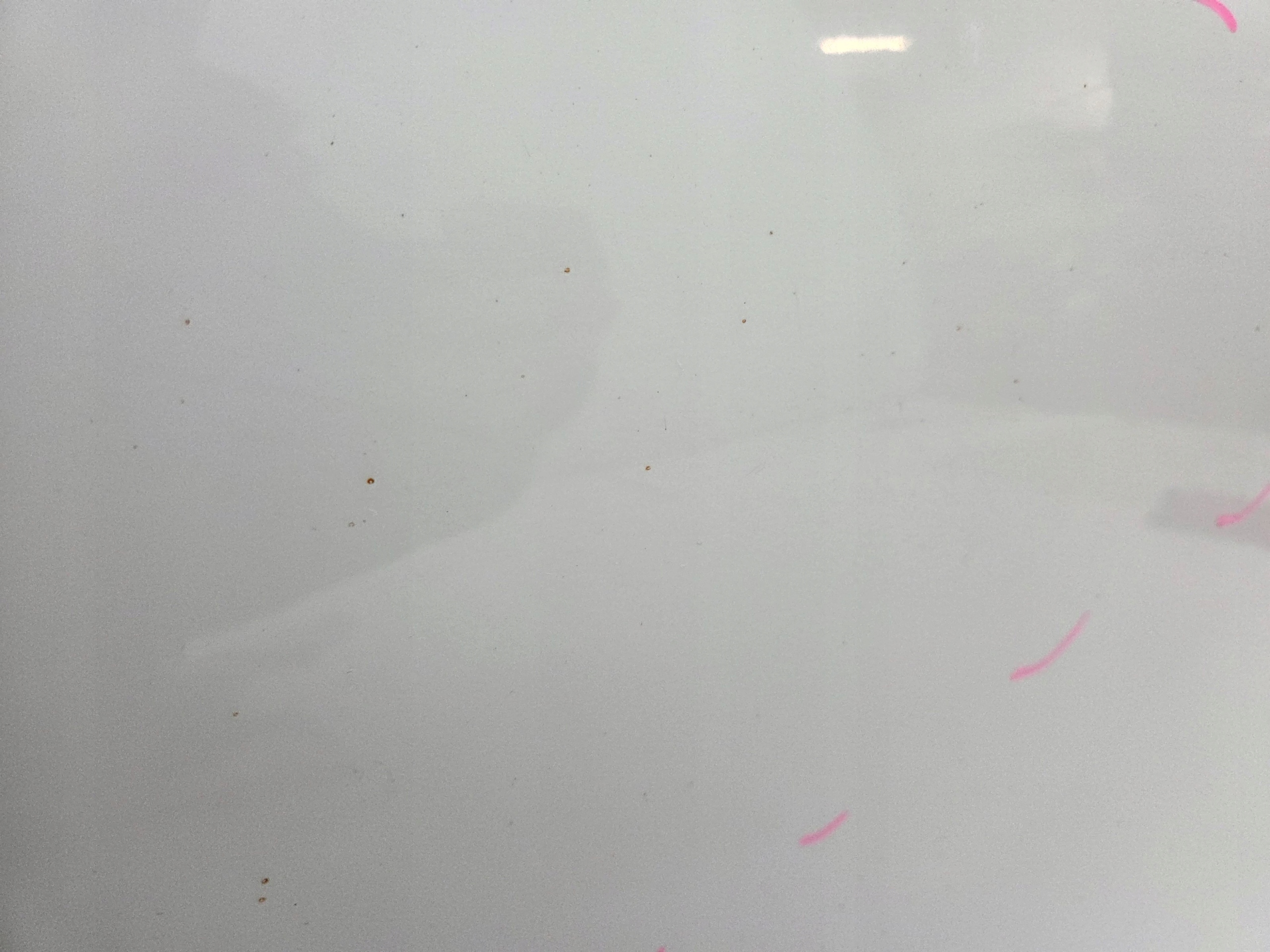 BMW X1 E84 door left rear. 300