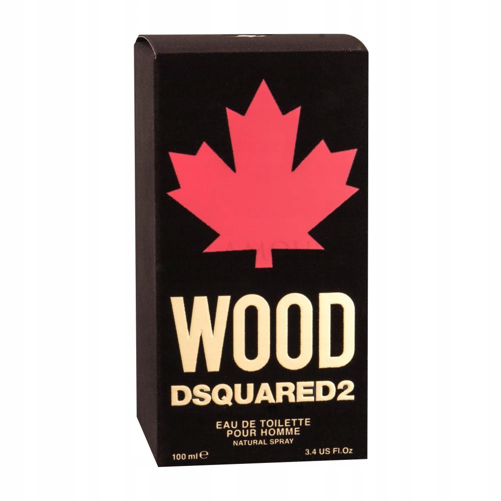 Dsquared2 Original Wood toaletní voda pro muže 100 ml