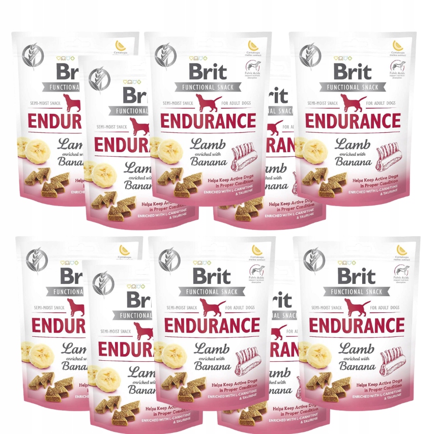 Brit Care Dog Functional Endurance Lamb 10x150g