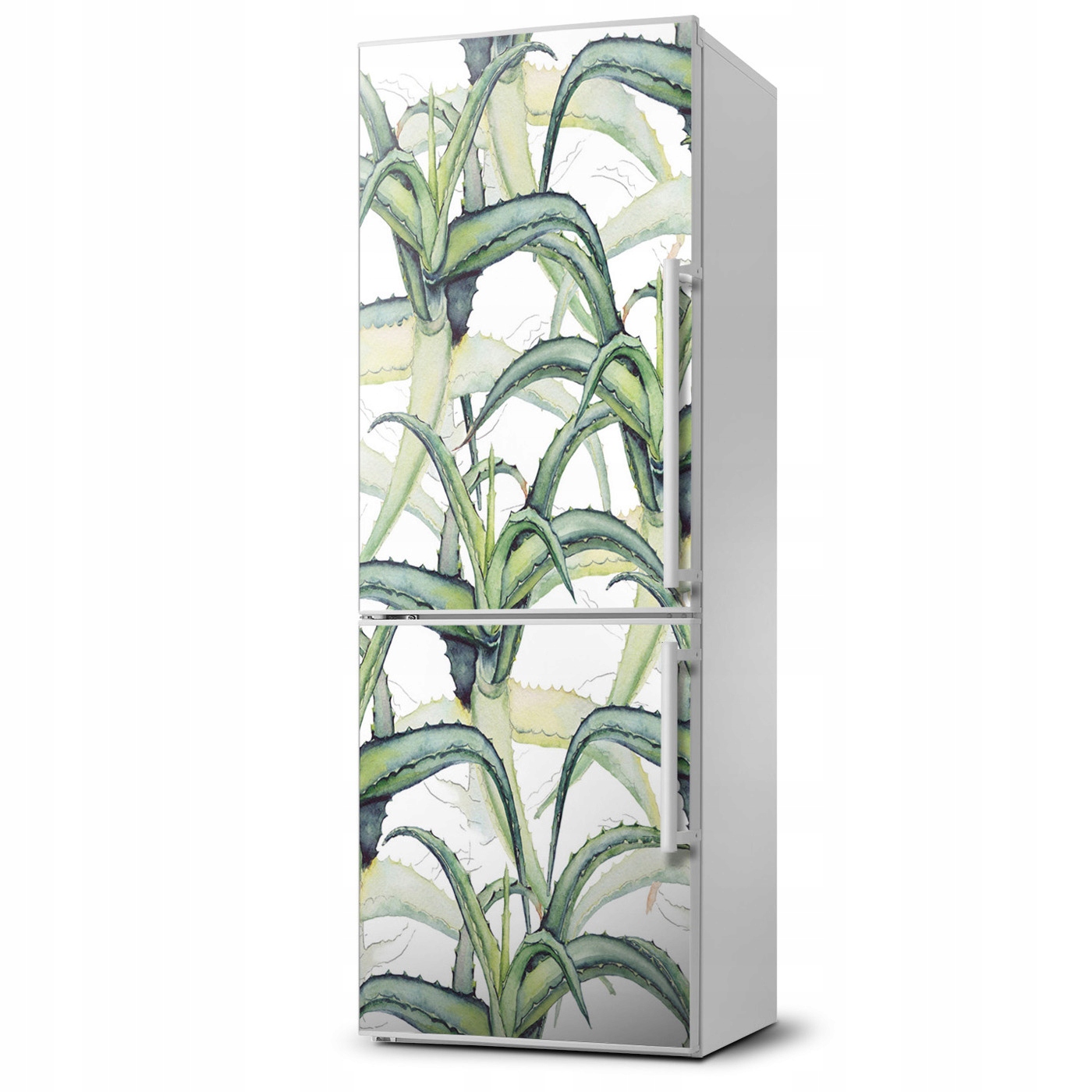 

Foto Magnes fototapety na lodówkę Aloes 60x180