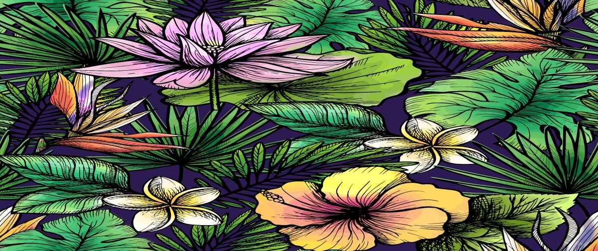 

Tapeta Flizelinowa Tropikalne kwiaty - 250x104
