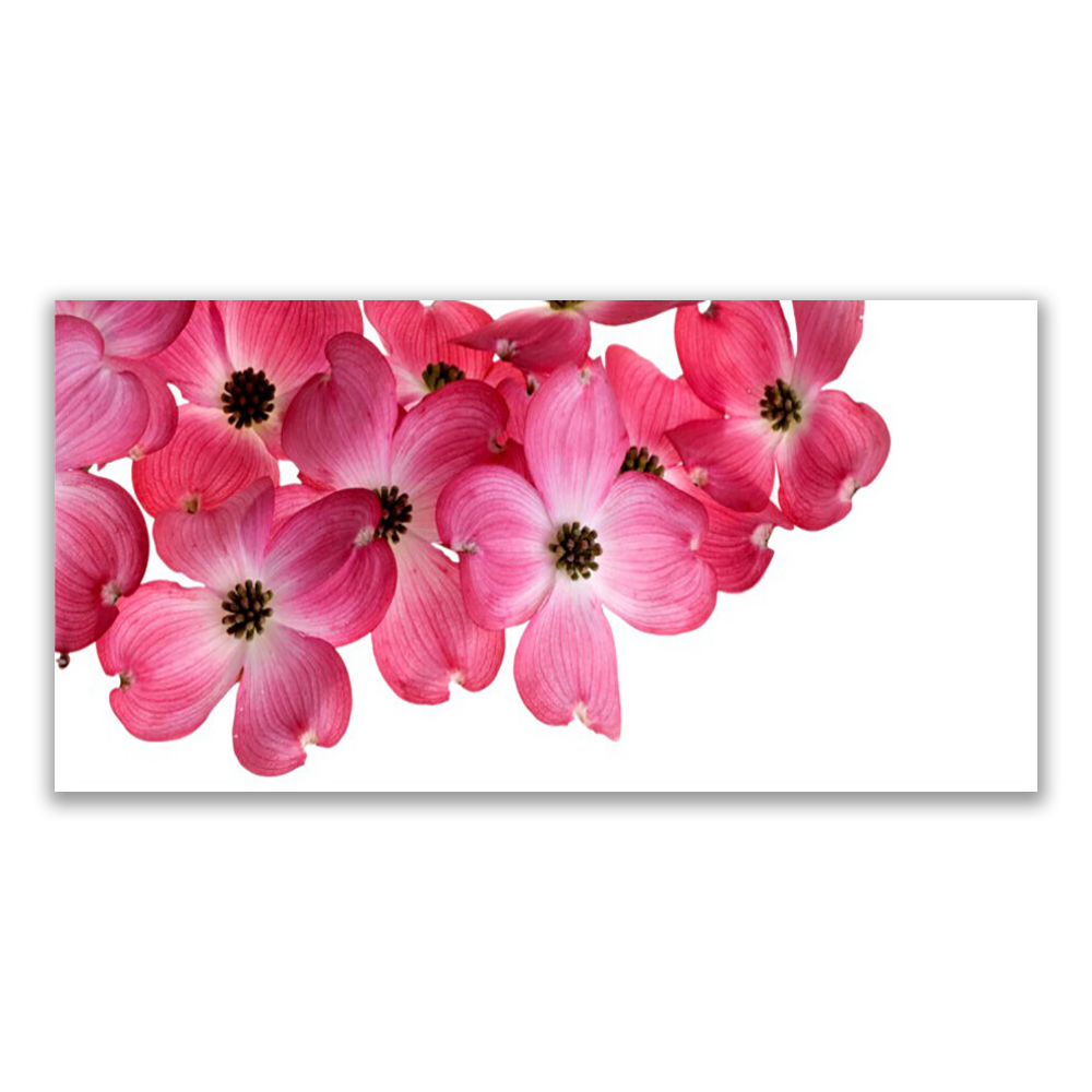 

Fotoobraz ścienny wiszący 140x70 Kwiaty Na Ścianę