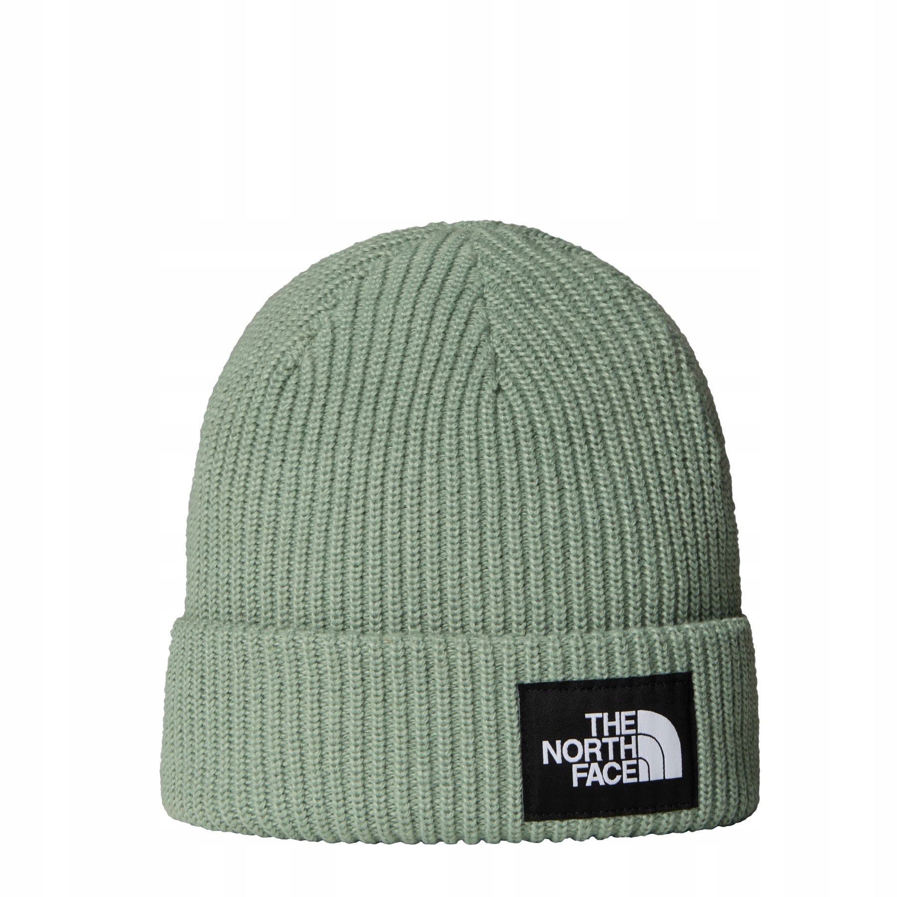 Unisex zimní Čepice The North Face Salty Lined zelená NF0A8CGZBQ1