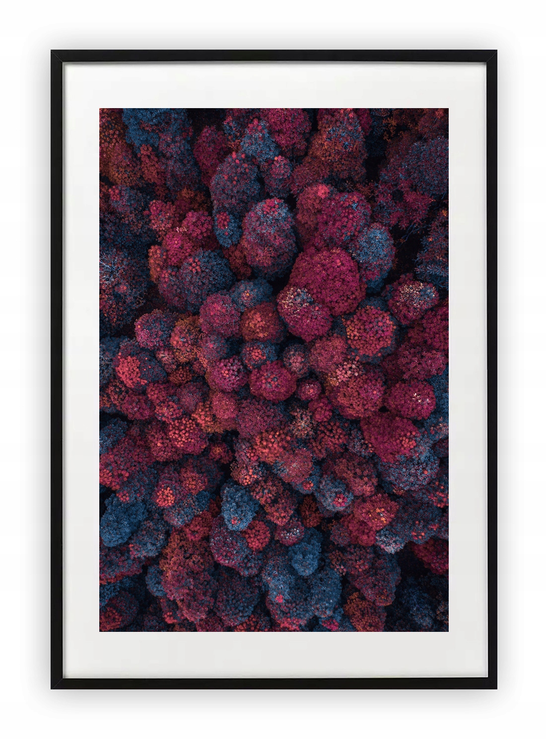 

Plakat 61x91 cm Natura Drzewa Rośliny