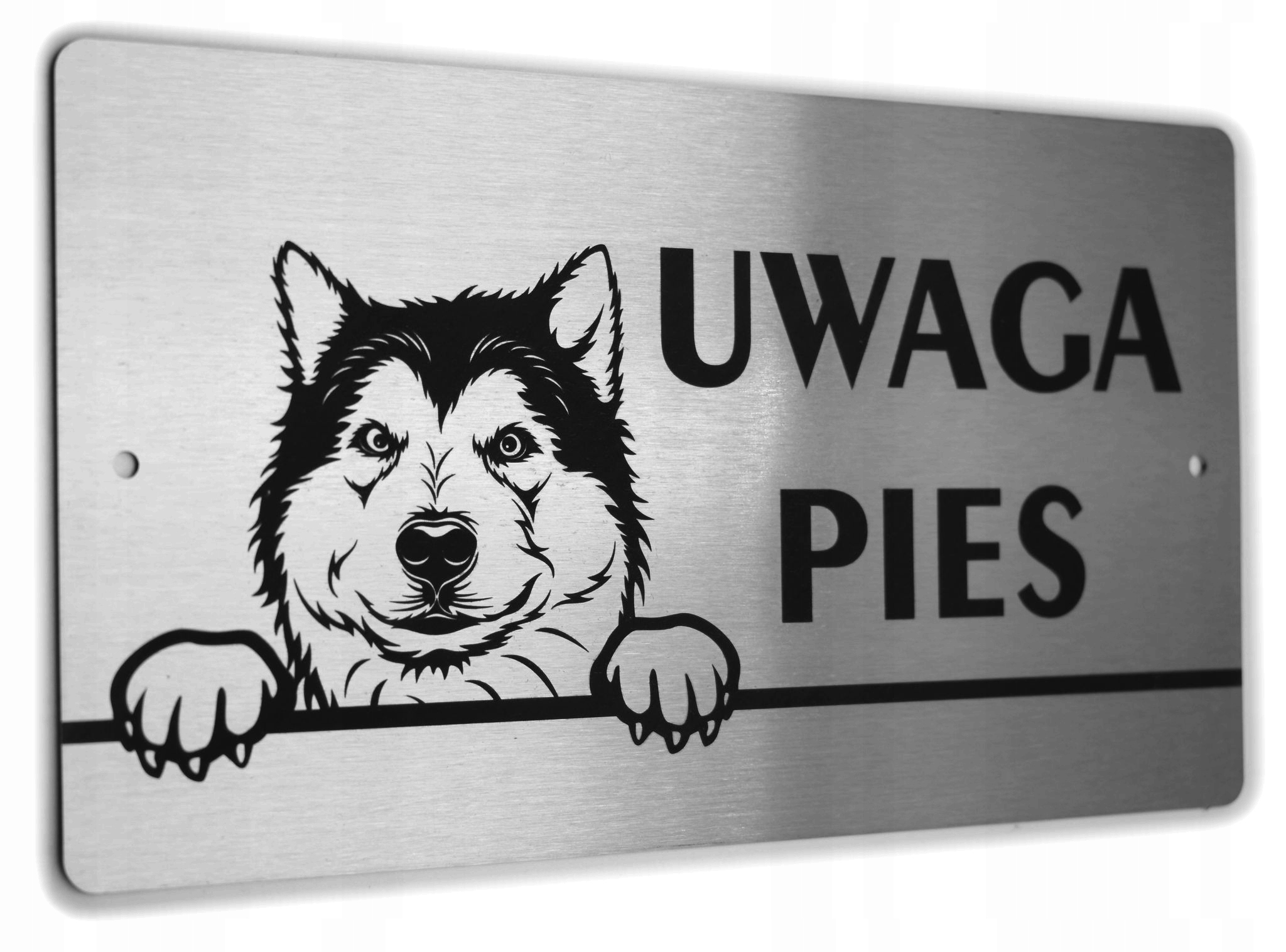 Tabliczka INOX - UWAGA PIES - Alaskan Malamute