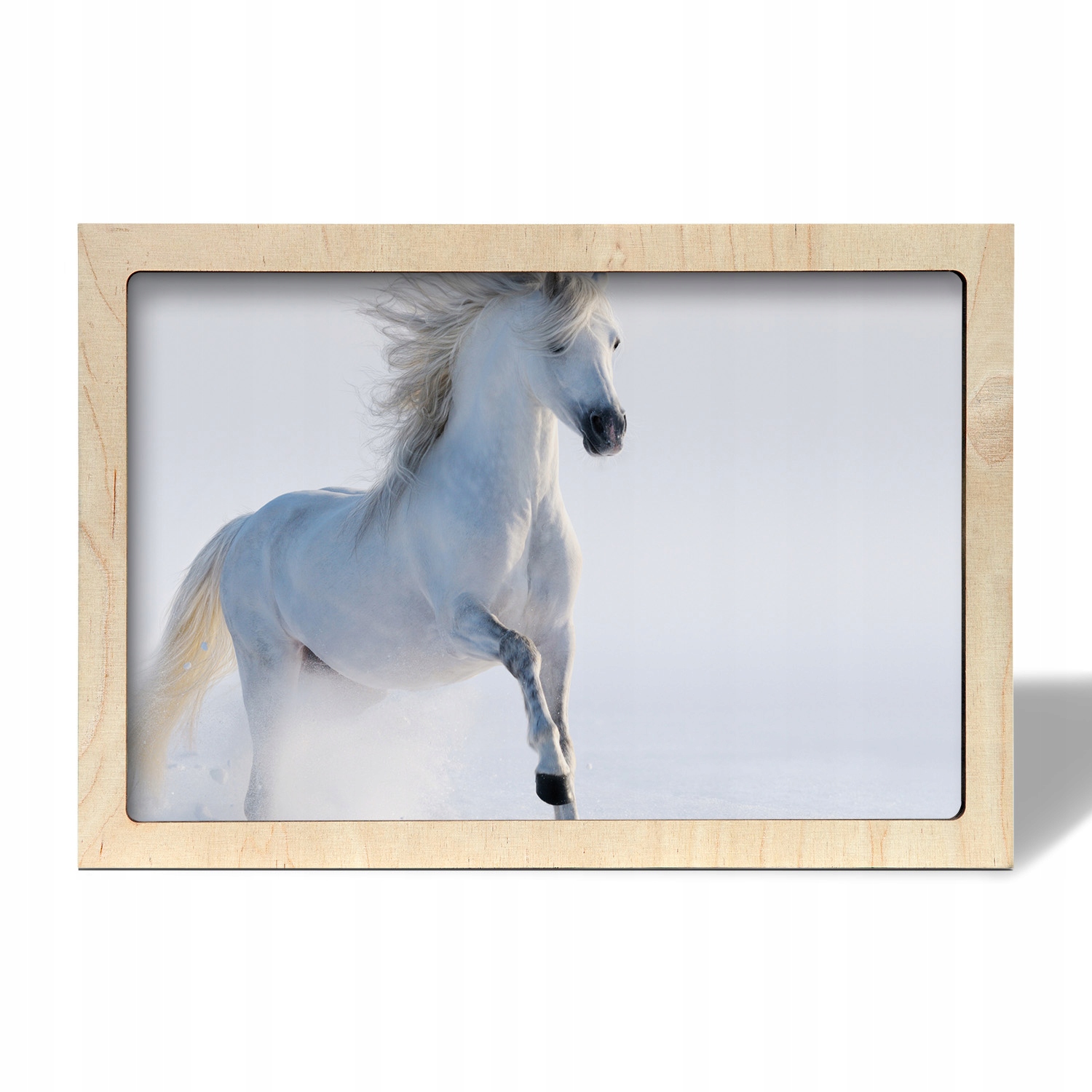 Foto obraz do obývacího pokoje Bílý kůň sníh zima 55x35