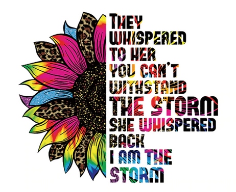 TERMO NAKLEJKA APLIKACJA NAPRASOWANKA H46