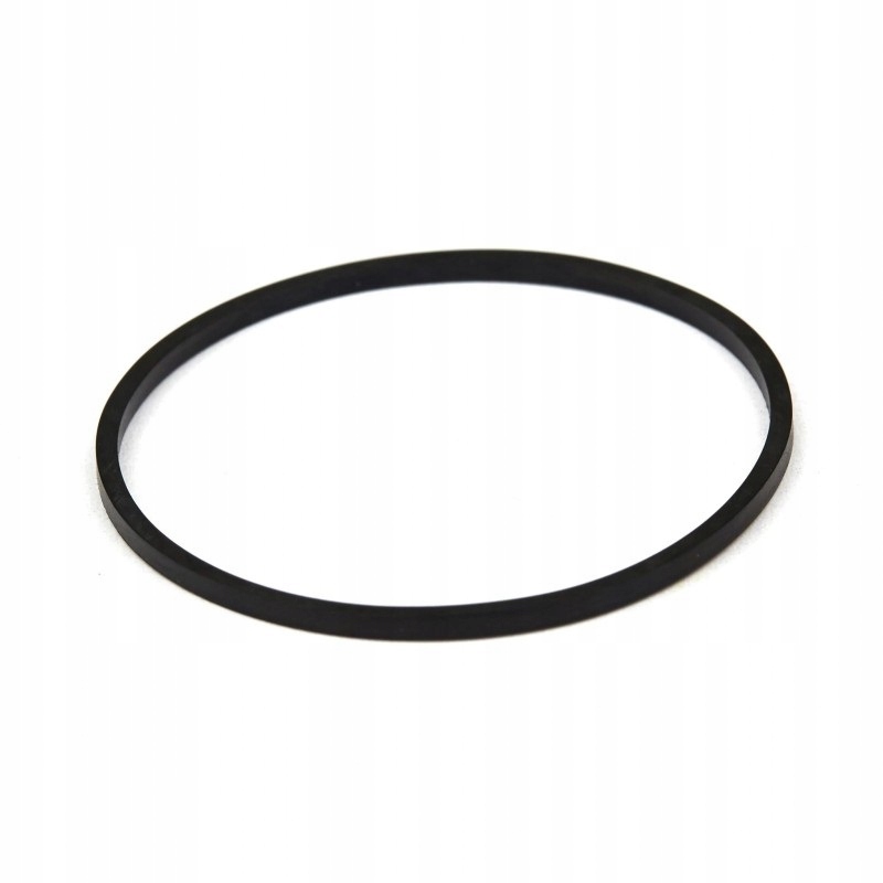 USZCZELKA KOMORY PŁYWAKOWEJ BRIGGS&STRATTON 69