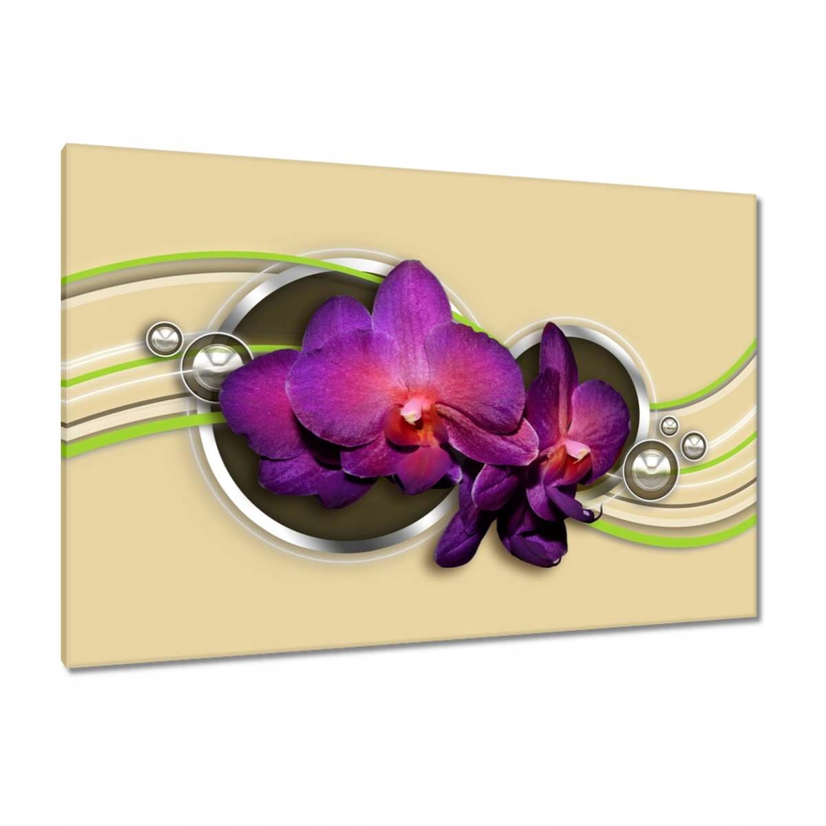 Obrazy 120x80 Orchideje