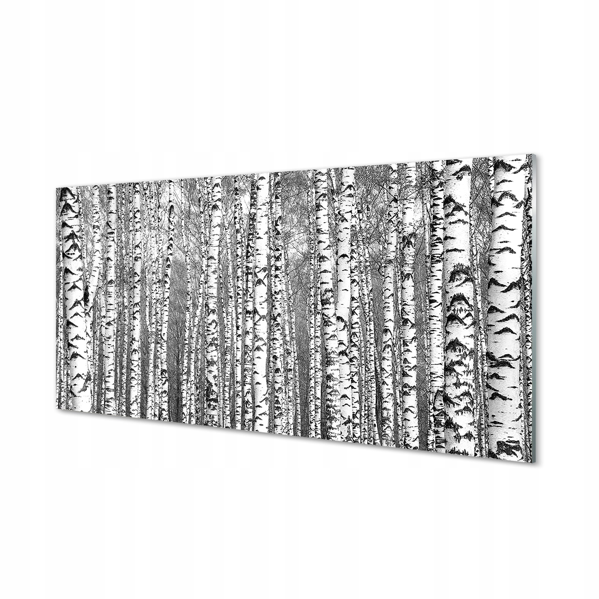 Fotoobraz na skle Černobílé stromy 120x60 cm