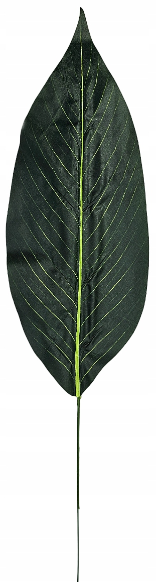 LIŚĆ DIFENBACHII LIŚCIE SZTUCZNE DODATKI Kod producenta LIŚĆ DIFENBACHII