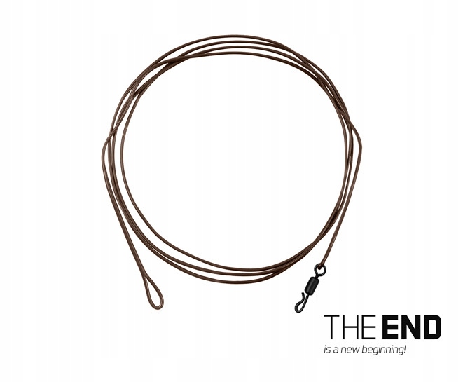 Delphin The End Aramid Leader 1SZT 80CM 60 Lbs
